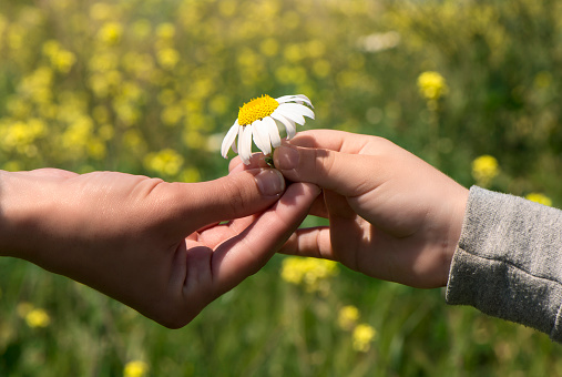 Child Giving A Flower To His Mother