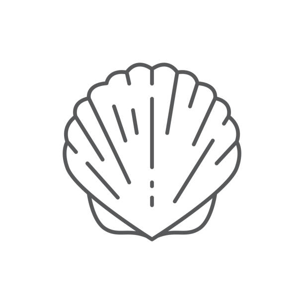 illustrations, cliparts, dessins animés et icônes de coquillages ligne modifiables pixel parfaite icône isolé sur fond blanc. - vacations nature shell snail