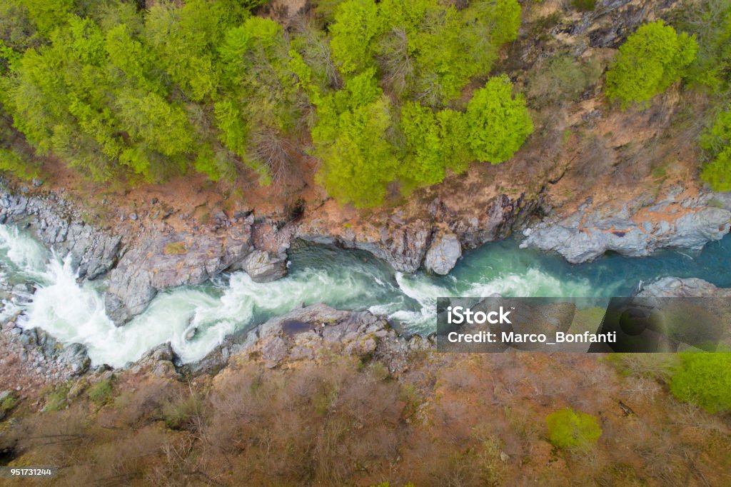 Río de montaña  - Foto de stock de Rápido - Río libre de derechos
