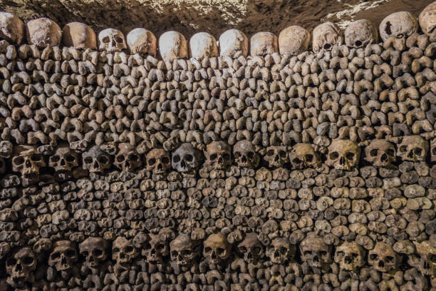 teschi e ossa spaventosi nelle catacombe di parigi iii - catacomb foto e immagini stock