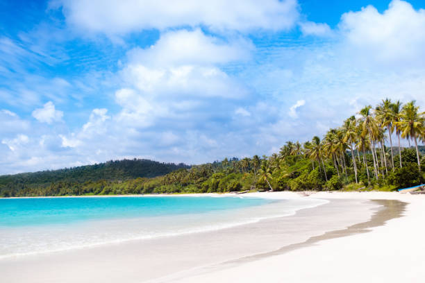 istock Tropical beach with palm trees. Island lagoon. 951742170