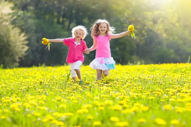 Photo of Kids play. Child in dandelion field. Summer flower