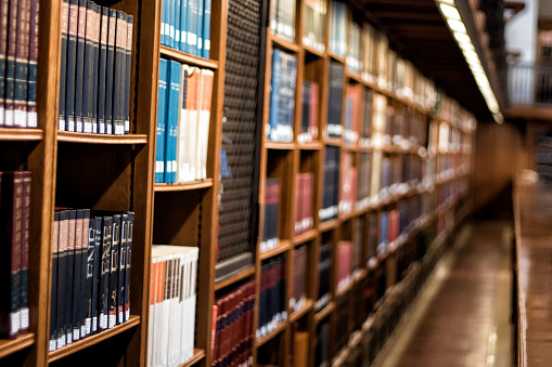 Young woman reading big old book while sitting in library in front of bookshelves. She wears green shirt and looks beautiful