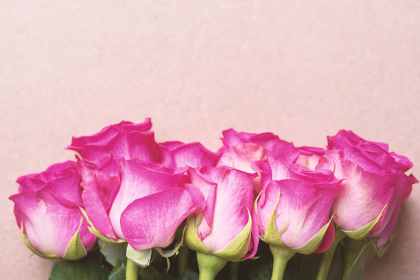 istock Beautiful pink roses bouquet 951748604