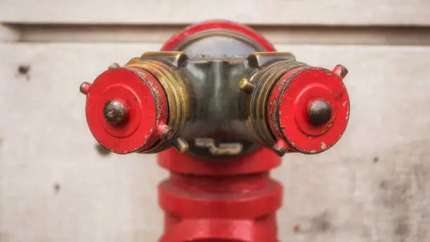 Siamese fire hydrant on the sidewalk in New York