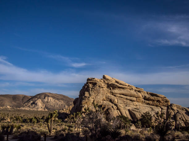 istock Joshua tree national park desert 951772796