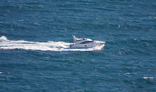 istock speedboat cruising in sea 95177301
