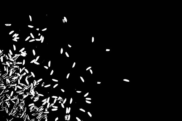istock White rice on black background. Organic texture. Silhouette of rice flakes, spread on the flat surface or table. Top view. Vector. 951775224