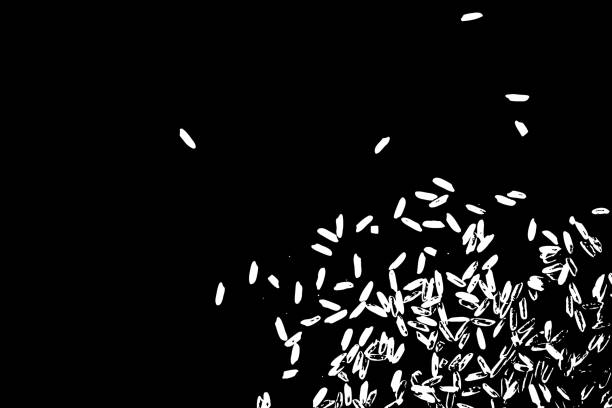 istock Organic mixed thrown rice explosion. Rice texture for background. Silhouette of flakes, spread on the flat surface or table. Top view. Vector. 951775732