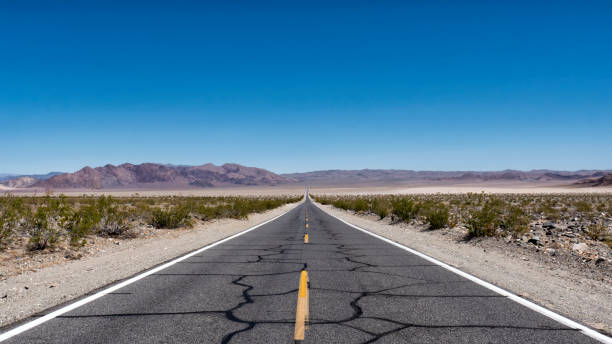 istock Desert road with patched up asphalt 951776982