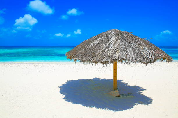 istock Tropical turquoise Beach under rustic palapa parasol sunshade – Caribbean sea 951780472