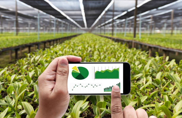 istock agriculture technology concept man Agronomist Using a Tablet in an Agriculture Field read a report 951780628