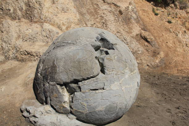 istock Moeraki Boulders, New Zealand 951781030