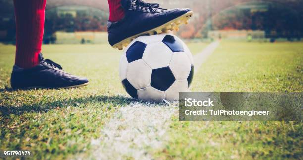Soccer Or Football Player Standing With Ball On The Field For Kick The Soccer Ball At Football Stadium Stock Photo - Download Image Now