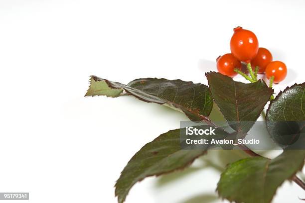 Herbstszenen Stockfoto und mehr Bilder von Blatt - Pflanzenbestandteile - Blatt - Pflanzenbestandteile, Bunt - Farbton, Dekoration