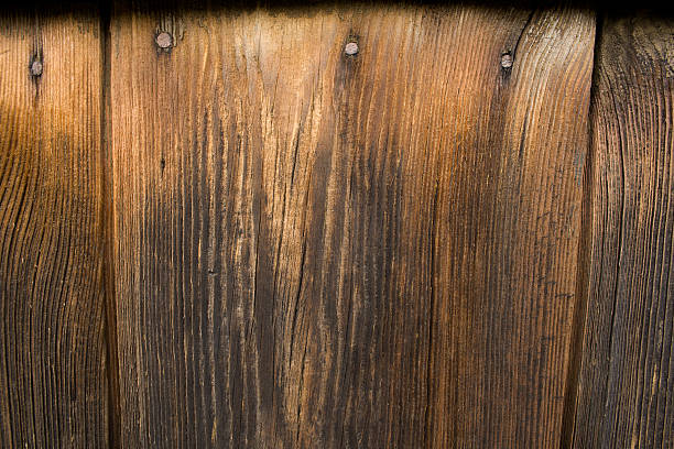 istock wooden wall and nails 2 95179348
