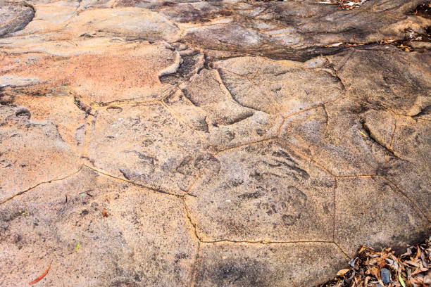 istock Narrabri – Swan Rocks Hexagonal Lava Columns 951795544