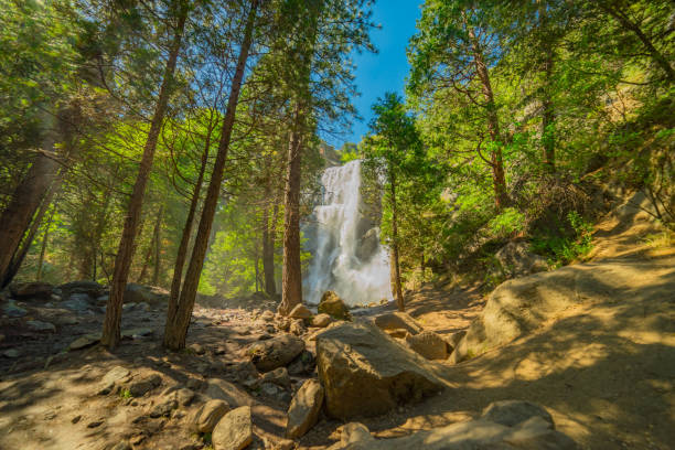 mountain getaway; spring meadow; recreation location; quite getaway; mountain recreation; peaceful morning; relaxing location