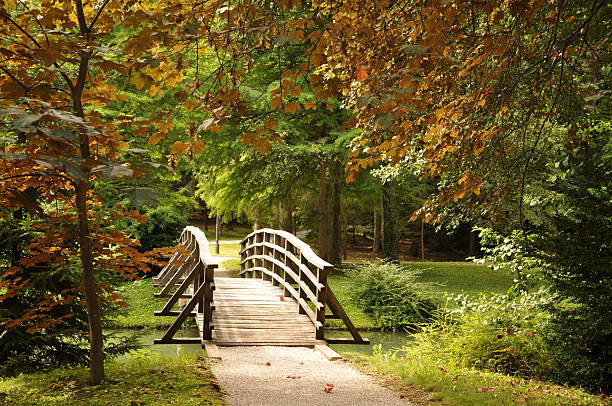 istock Autumn in the Park 95179911