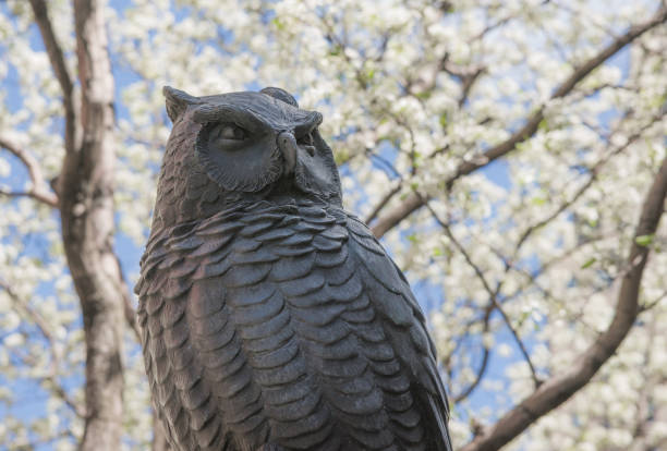 New York, U.S.A. - April 20, 2018: Bronze Owl Sculpture at Herald Square with flowering Callery Pear Tree in the background