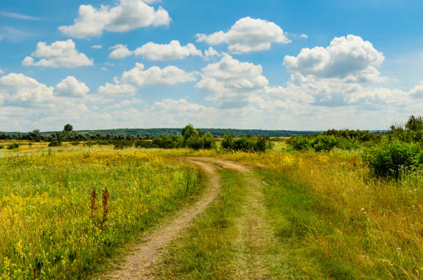 istock Rural road through the green meadow 951803834