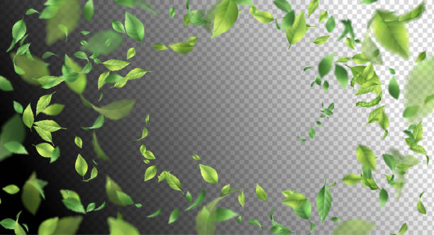 緑の葉を飛んで - green pattern green background abstract点のイラスト素材／クリップアート素材／マンガ素材／アイコン素材