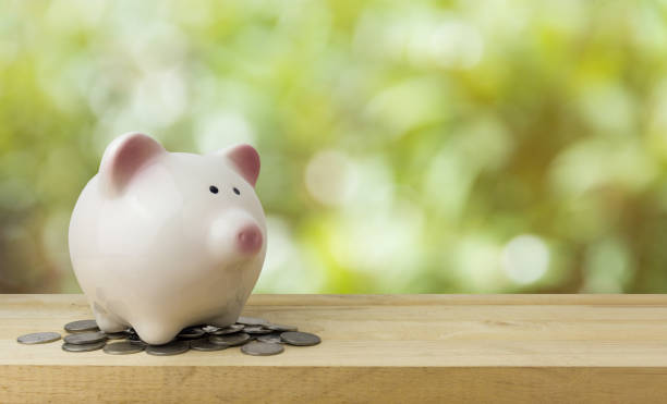 istock piggy bank save coins, saving money concept 951812410