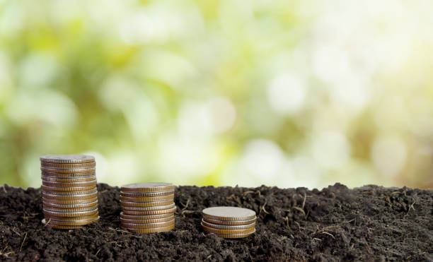 istock coins in soil, saving money concept 951812420