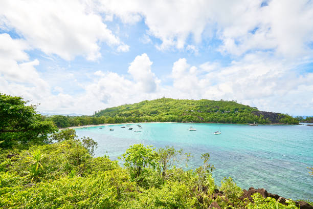 istock View on Therese island from sans soucis road (panoramic point of view) 951815246