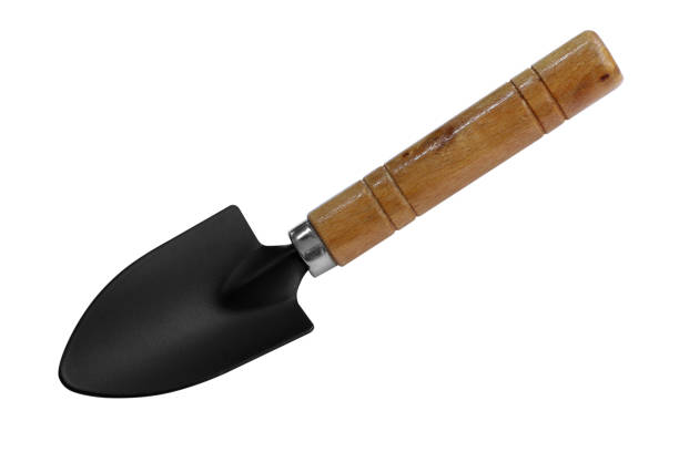 istock Garden shovel isolated on white background 951815356