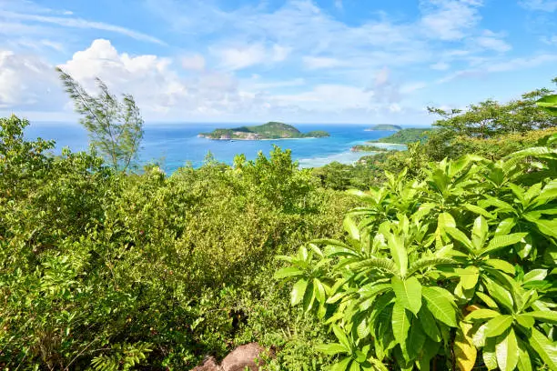 View on Therese island from sans soucis road (panoramic point of view)