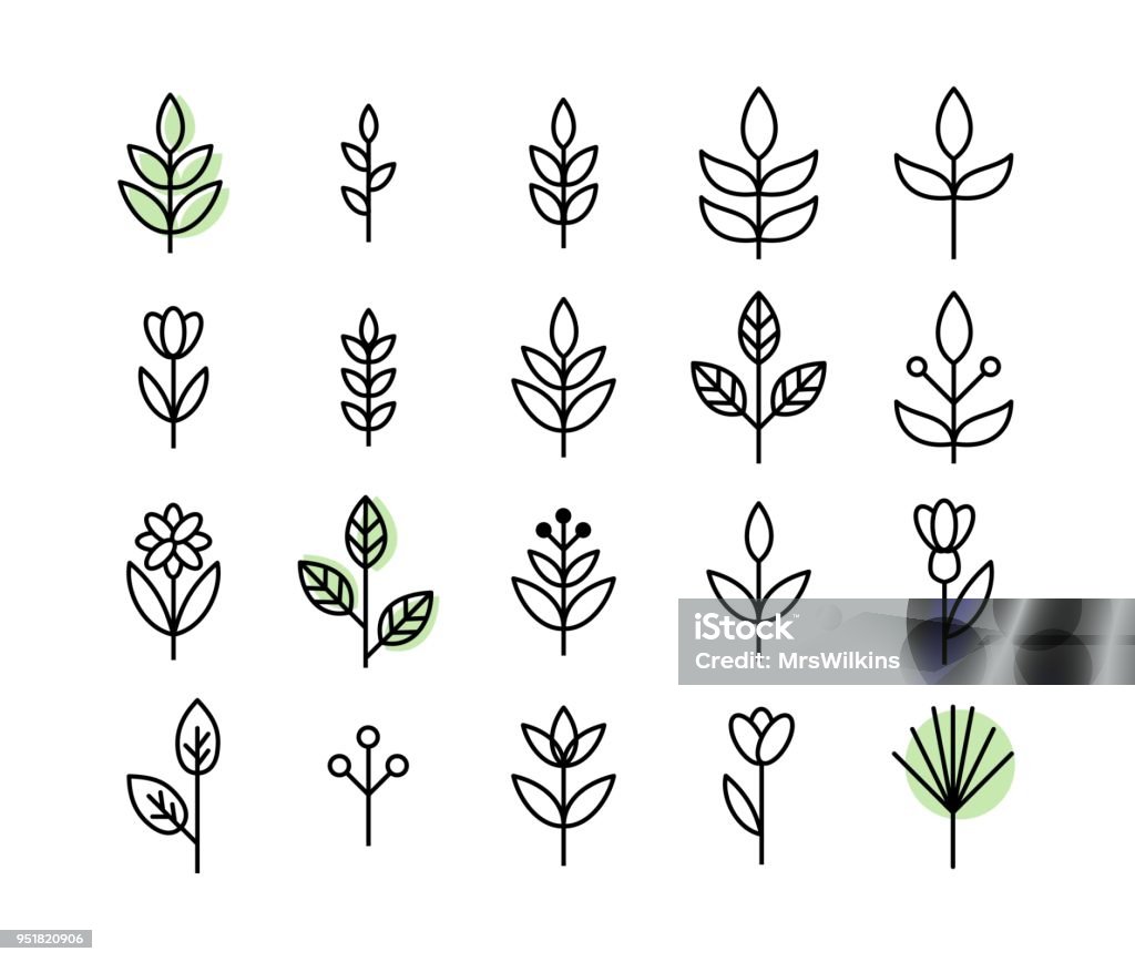 Set of thin line leaf icons vector Set of thin line leaf icons vector collection Icon Symbol stock vector
