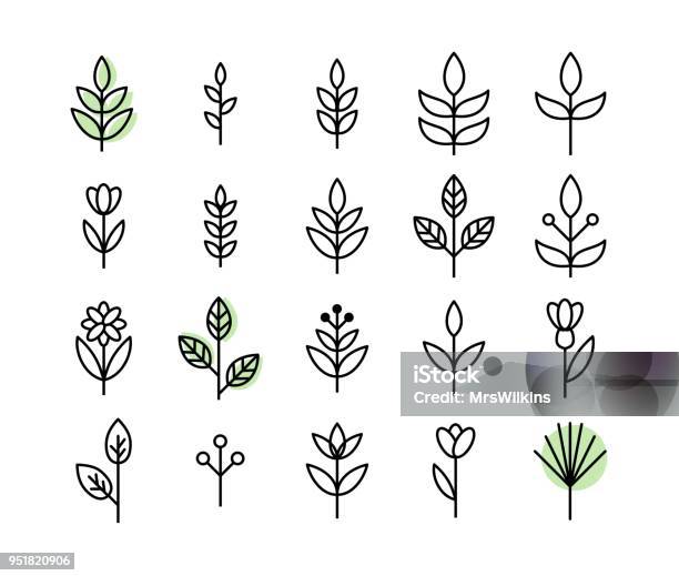 Set Of Thin Line Leaf Icons Vector Stock Illustration - Download Image Now - Icon Symbol, Leaf, Plant