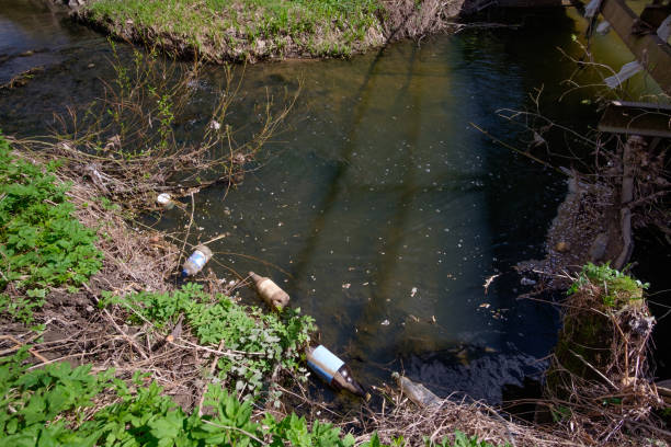 istock River pollution concept. Forest river, polluted with plastic bottles and other garbage. 951823574