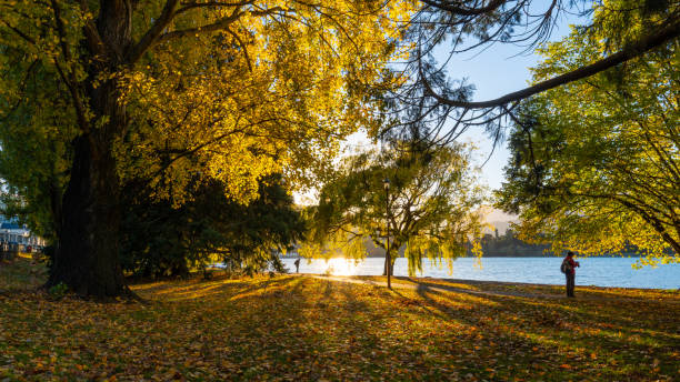 istock View of Lake Wakatipu 951825438