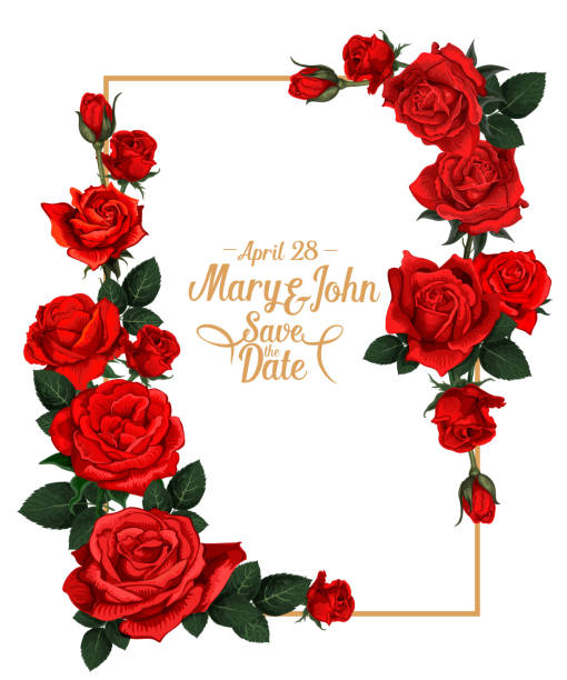 ilustraciones, imágenes clip art, dibujos animados e iconos de stock de marco de vectores florales de la boda - rose