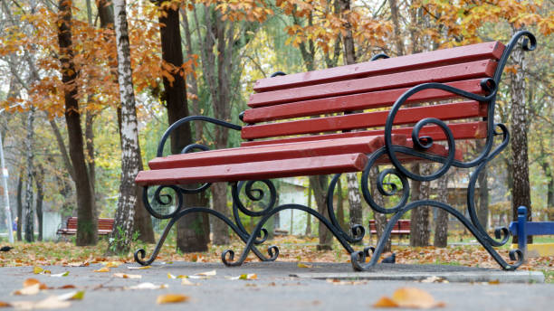 istock Park bench in a city park 951825748