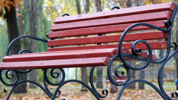 istock Park bench in a city park 951826952