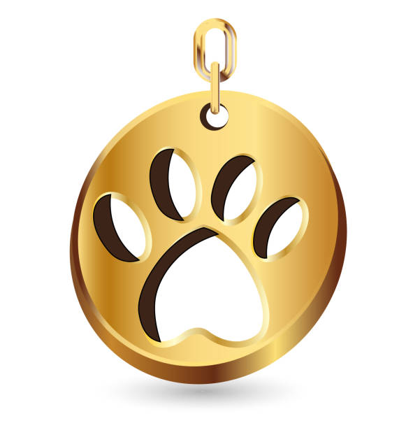 istock Dog paw gold footprint icon graphic illustration 951828560