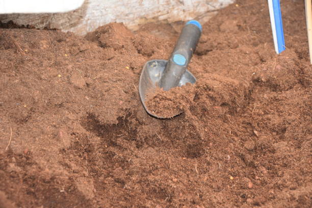 istock Potted plants and fertilizer in the nursery 951830846