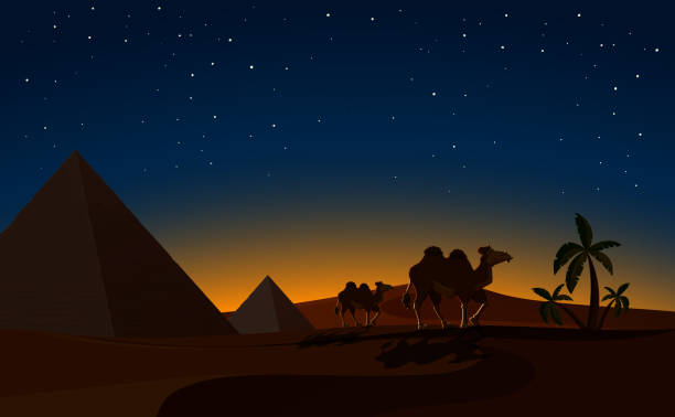 ilustraciones, imágenes clip art, dibujos animados e iconos de stock de pirámide y camellos en la escena de la noche del desierto - cairo egypt africa night