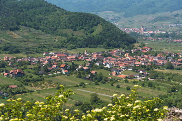 istock Small town in Wachau valley with wineries in Austria 951837044