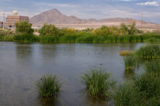istock Sunset at Wetlands park in Las Vegas 951837336