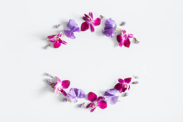 Fuchsia-colored orchid flowers are neatly arranged in the shape of a circle, resembling the letter O, on a soft light background. The floral composition is symmetrical and minimalistic, ideal for use in design projects, greeting cards, or natural-themed visuals. The center of the circle is left empty, forming natural copy space. High quality photo