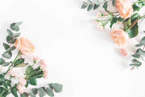 istock Rose flowers and eucalyptus branches. Flat lay, top view 951847770