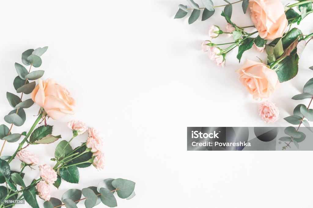 Rose flowers and eucalyptus branches. Flat lay, top view Flowers composition. Frame made of rose flowers and eucalyptus branches on white background. Flat lay, top view, copy space Flower Stock Photo