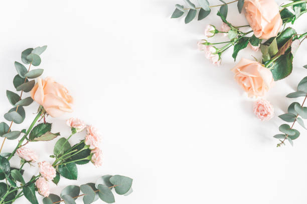 Rose Flowers And Eucalyptus Branches Flat Lay Top View Stock Photo -  Download Image Now - iStock