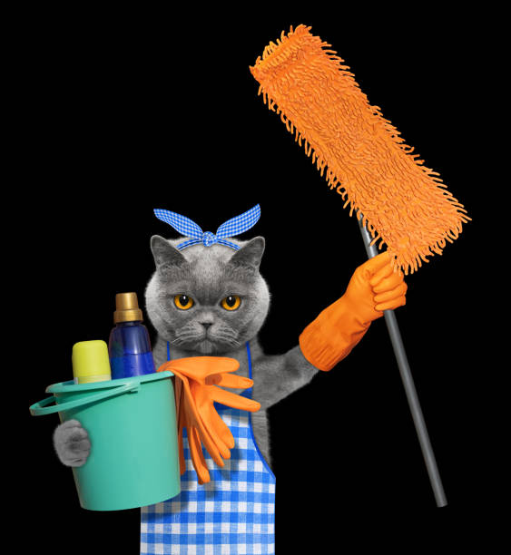 istock Cat in apron with mop doing household chores. Isolated on black 951847876