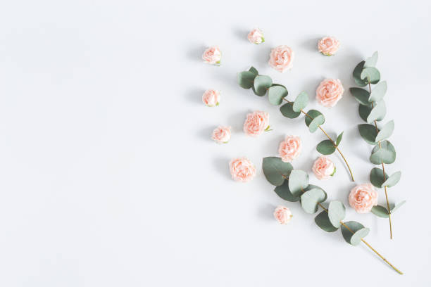 istock Rose flowers and eucalyptus branches. Flat lay, top view 951847886