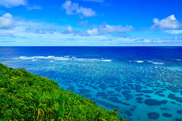 istock Sea of coral reef 951850290